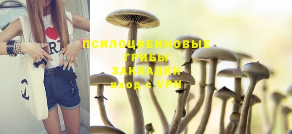 СК Алзамай