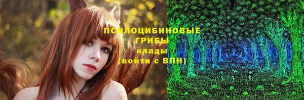 СК Алзамай