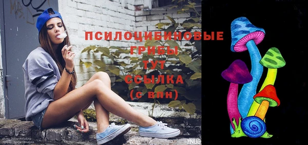 СК Алзамай